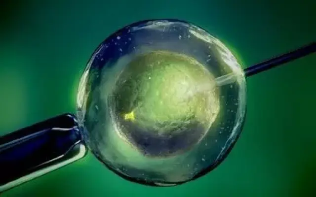 着床障害